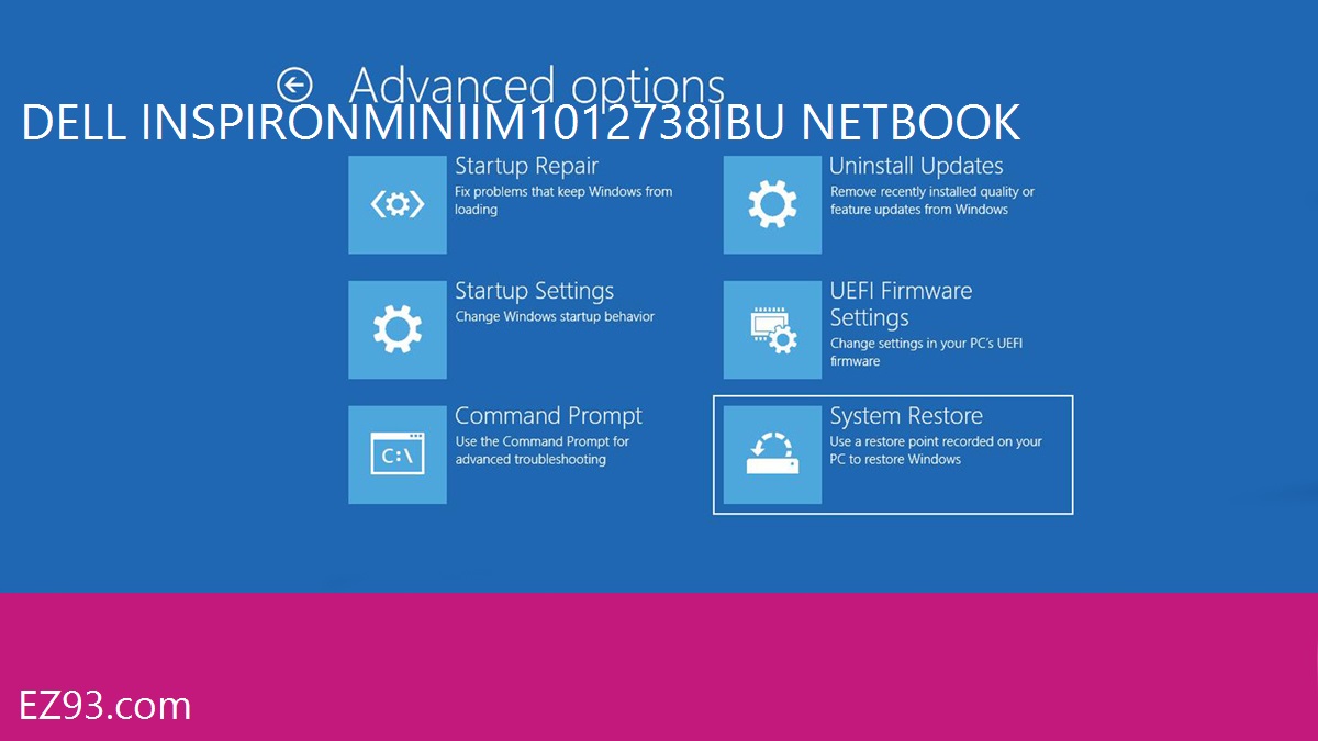 Easy Dell Inspiron Mini iM1012-738IBU Netbook windows recovery