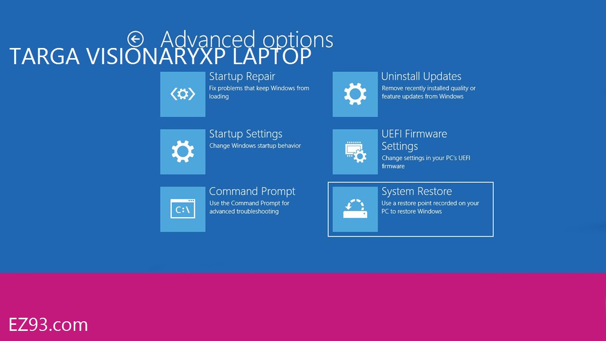 Easy Targa Visionary XP Laptop windows recovery