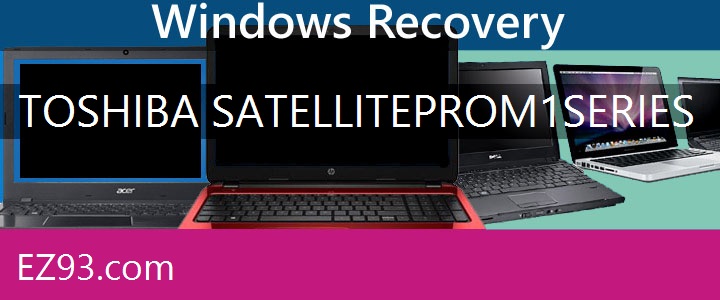 Easy Toshiba Satellite PRO M1 Series Laptop recovery