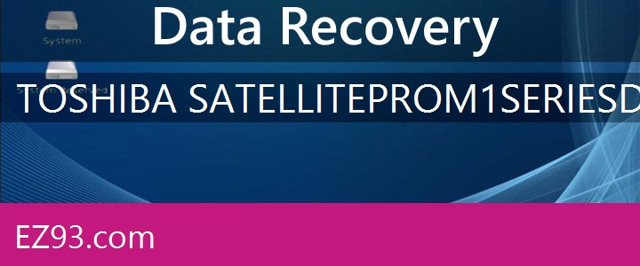 Easy Toshiba Satellite PRO M1 Series Data Recovery 